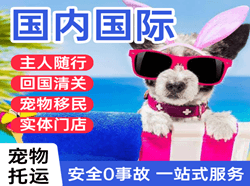 昌北航空货运国际宠物托运 【国